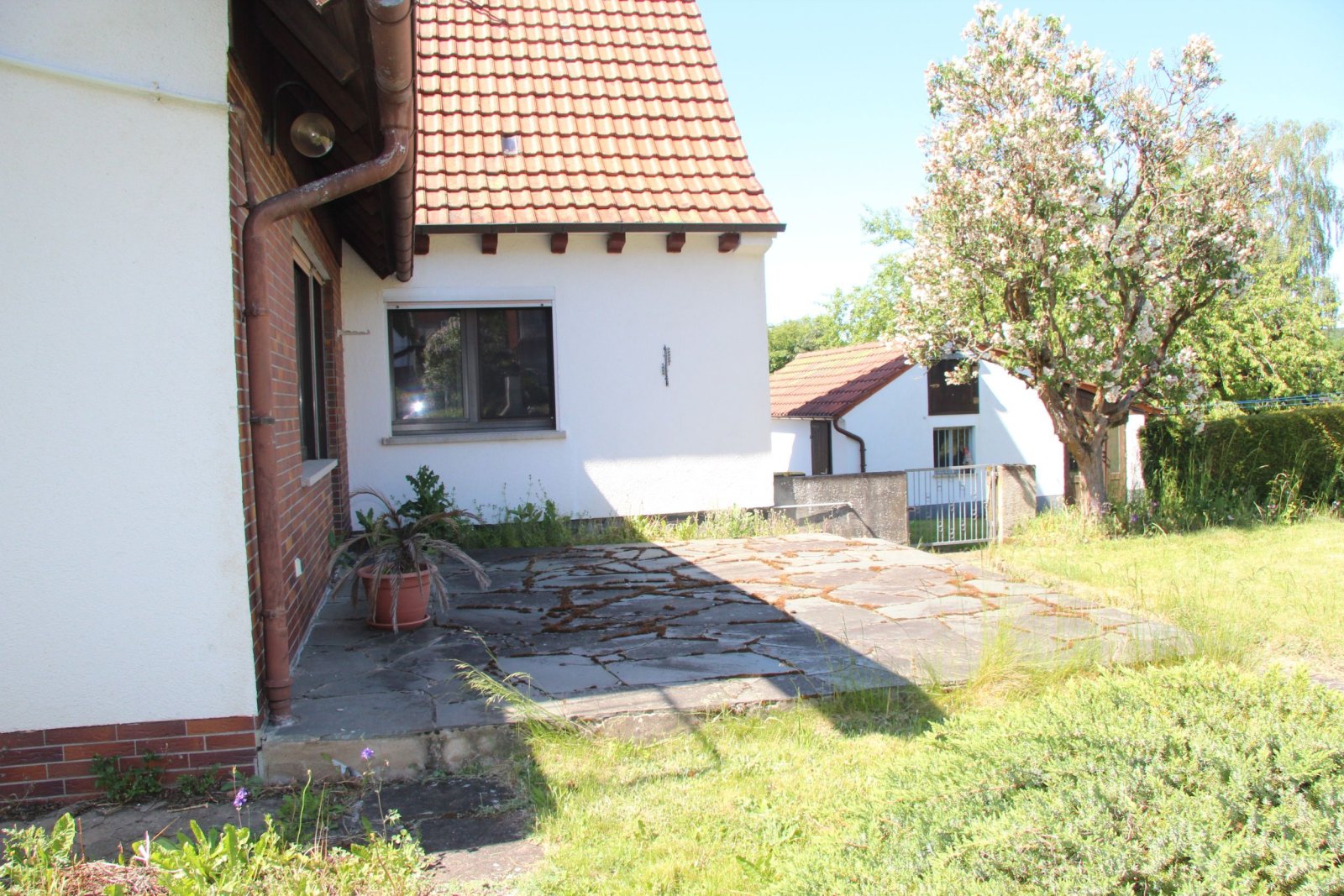 Charmantes Einfamilienhaus mit großem Grundstück und Obstbaumbestand