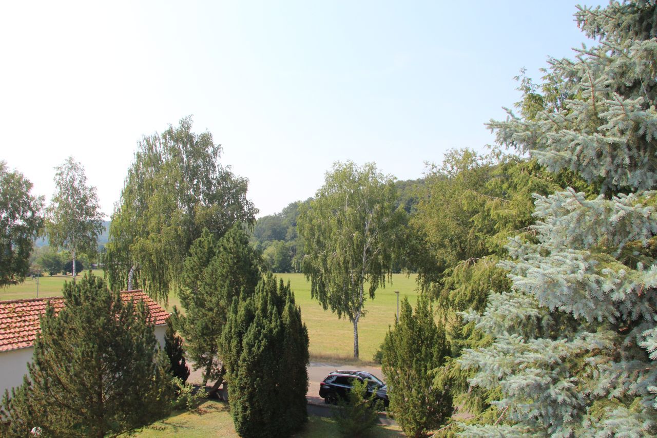 der Blick vom Balkon der Blick vom Balkon