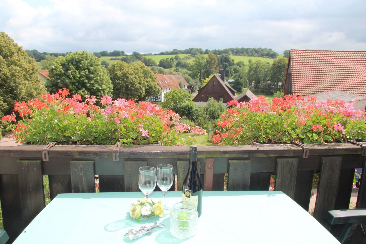 der Blick vom Balkon der Blick vom Balkon
