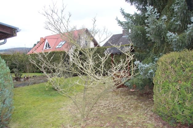 der Garten