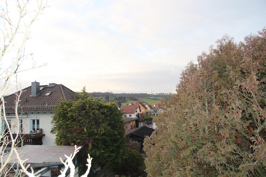 der Blick vom Balkon der Blick vom Balkon
